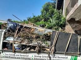 Best Electronics and E-Waste Disposal  in Grayvle, IL