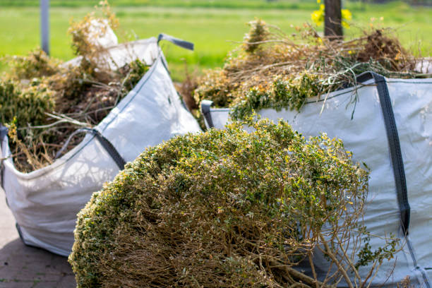 Best Property Management Cleanouts  in Grayvle, IL