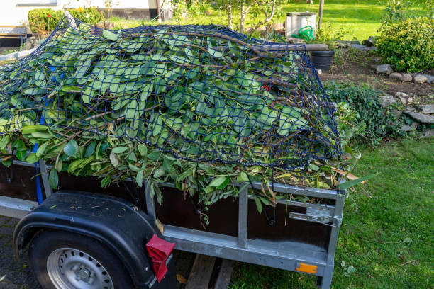 Best Shed Removal  in Grayvle, IL